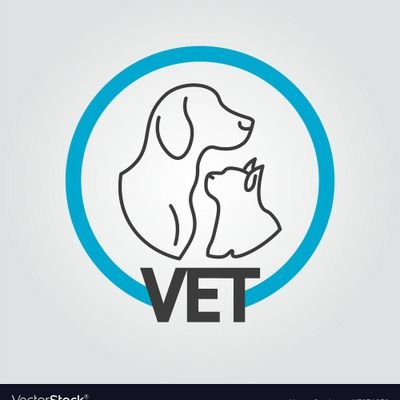 Veterinary Assistant Surgeon@Veterinarian