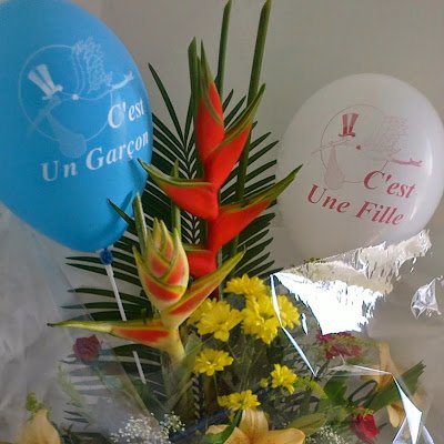 ThiamThiam77's profile picture. 