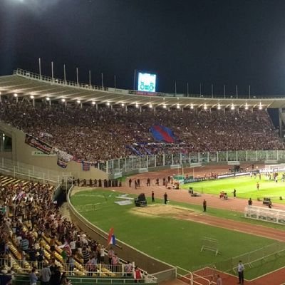 Hincha fanático del Club Atlético San Lorenzo de Almagro.