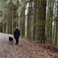 ✨JennyTheM©✨💙ENFP-T #BirthLeadership (@jennythem) 's Twitter Profile Photo ✨JennyTheM©✨💙ENFP-T #BirthLeadership (@jennythem) 's Twitter Profile Photo