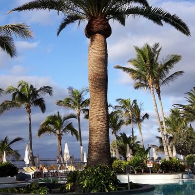 IvorHayes's profile picture. Primary School teacher