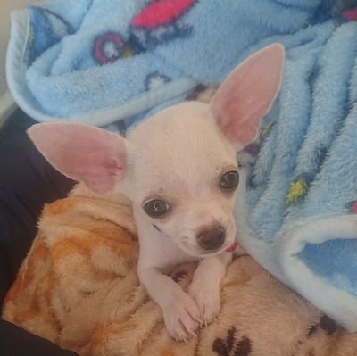 FerMJ_60's profile picture. Hola