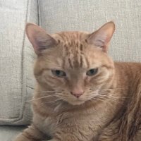 Bee (@beewrites27) 's Twitter Profile