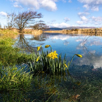 Aspiring photographer - appreciating and sharing the beauty of mid west Wales, its stunning coast, amazing wildlife and 