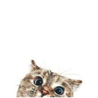 Amal (@amalshehri190) 's Twitter Profile Photo
