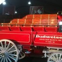 Aaron Serna - @phoebiusunobius - Twitter