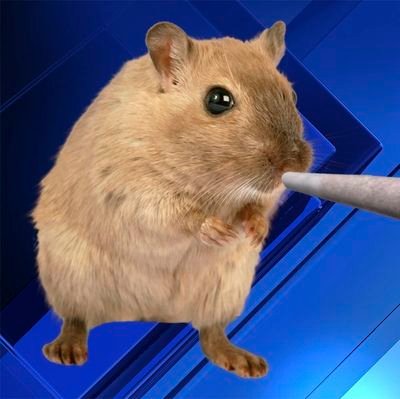 nightfire37's profile picture. Just some guy that's into cars and technology