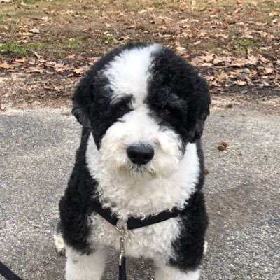 Pips21678's profile picture. Infectious Disease doctor and boater