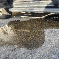 Omoanon (@omoanon3) 's Twitter Profile Photo