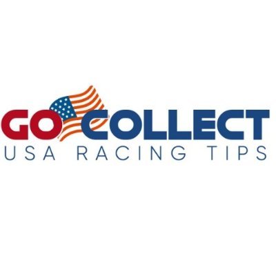 USA Racing tips & profits
2021 +200pts +15% ROI 33% win rate. 
2022 +70pts