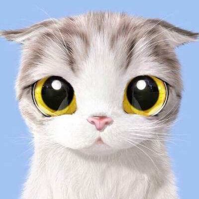 Vogus72's profile picture. 目前不做职业摄影了 广东省内照常免费接单   日常生命中的废话 爱摄影、爱猫猫、爱音乐