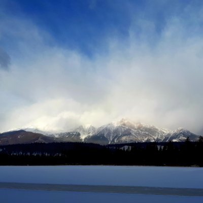 Sanya_PeaceLove's profile picture. Peace and Freedom loving Canadian.  #NeverAgainIsNow