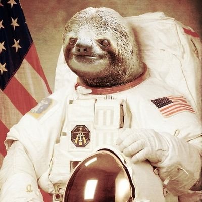 murdermedead's profile picture. nope.