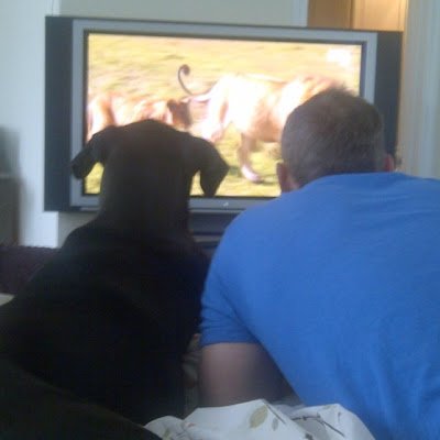 ChicMark's profile picture. 