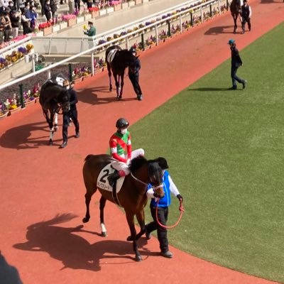 競馬初心者です。主に中央競馬、たまに地方競馬、ダビスタなどやってます。1レース千円までの初心者予想してます。