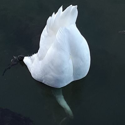 I love nature and cities, believe in science, always learning.
🦋 https://t.co/12LN96UTUc