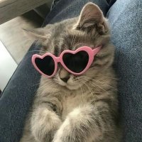 hellaxy 🍭 (@luvsyeonfox) 's Twitter Profile Photo hellaxy 🍭 (@luvsyeonfox) 's Twitter Profile Photo