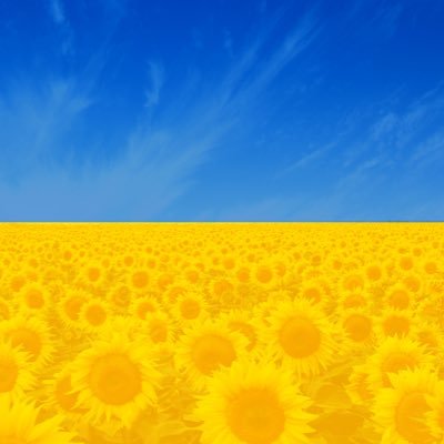 raymondminervin's profile picture. 