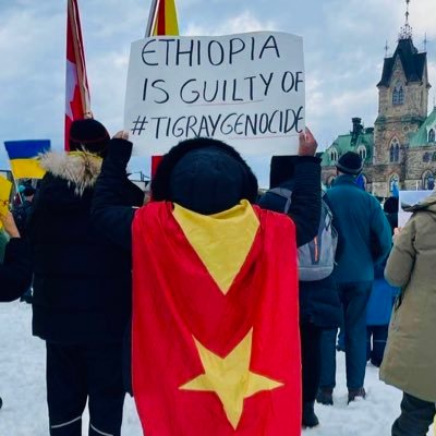 Ethiopia and Eritrea are guilty of #TigrayGenocide Views are my own