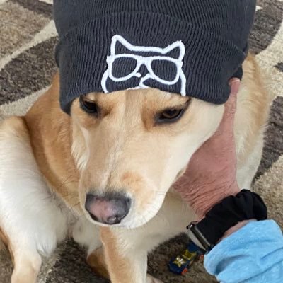 katnana56's profile picture. God Family Country. In God We Trust. One Nation Under God. We the people. Pro life. 3 X Trump voter TPUSA RIP Charlie🙏@NanaKat