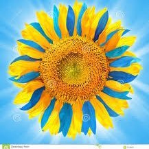 MyWolfPack1's profile picture. God is first ,Raider fan, Dodger fan, lover of all music, HallMark channel, Suicide Awareness advocate, Donate life America advocate