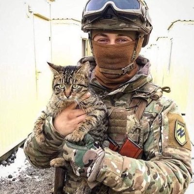 A place to share pics of the kitties stuck in the cross fire of the Ukraine invasion