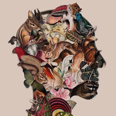 JCookBooks's profile picture. Editorial Designer with a love for Book Covers