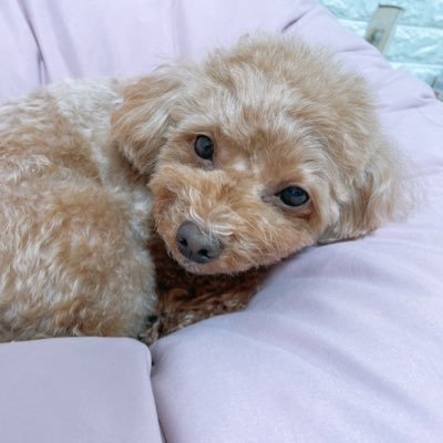 mako79415121's profile picture. PJ❣️DM下さい☺️