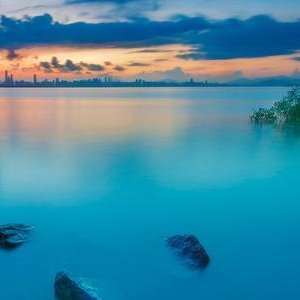 sanzhan73844645's profile picture. 