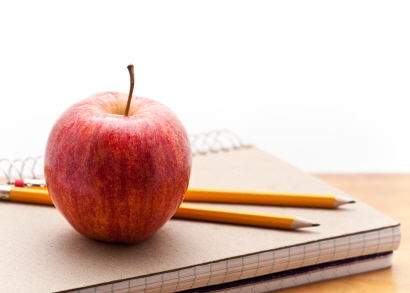 SimpleEssays's profile picture. Our goal at Essays Made Simple is to make the job of writing, teaching, and grading your Homeschool student's essays as easy and affordable as possible.