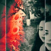 ⋱❀ 𝑯𝒂𝒏𝒏𝒆 ❀⋱ (@neva_n_) Twitter profile photo