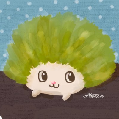 Hanacaさんのプロフィール画像