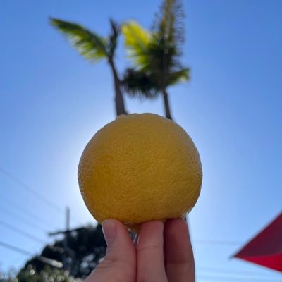 This is lemon’s world 🍋🍋🍋