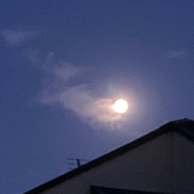 XW56VnAR3ZQnXhI's profile picture. はじめてみんちょ