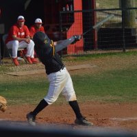 Devan Martin (@devanmartin34) 's Twitter Profile