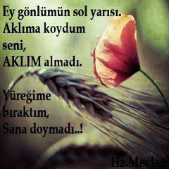 AQhalw's profile picture. mylife is falling apar¸t