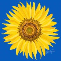 Janet Hager (@janethagerrl) Twitter profile photo