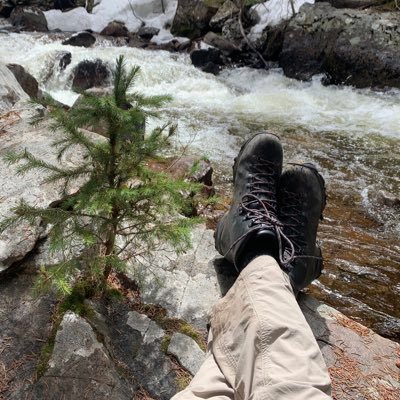 creamgetdamone1's profile picture. not a financial advisor.