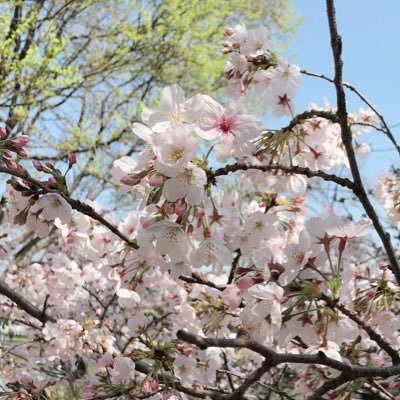 アラフォーにしてやっと、自分の生きづらさの原因が過干渉の母親にあると気付く。
自分だけの人生を生きるべく、現在行動中。