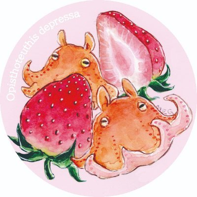 専用ページです♥meg様 グンゼ GUNZE サブリナ SABRINA ブラック 深く美しい黒 伝線し