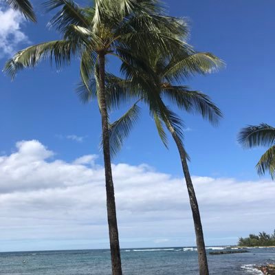 muboutaro's profile picture. 