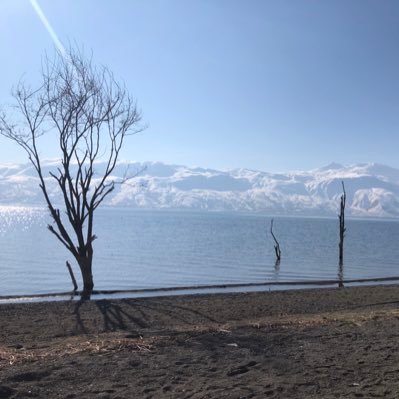 AtabeyZulkuf's profile picture. Za