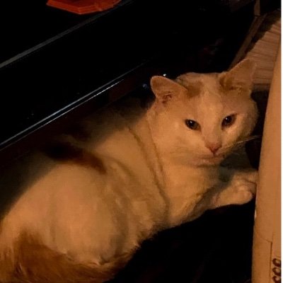 lateassignment2's profile picture. no.