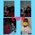 InLove TheReal (@inlove_thereal) Twitter profile photo InLove TheReal (@inlove_thereal) Twitter profile photo