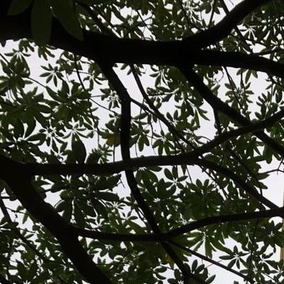 riashekhawat's profile picture. 