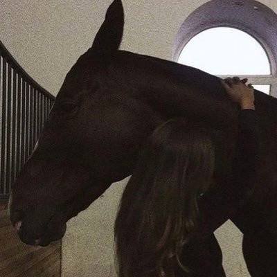 elkashefalx's profile picture. حزب الشاي والموسيقى