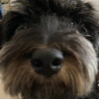 Louisa (@louisajoyner) 's Twitter Profile