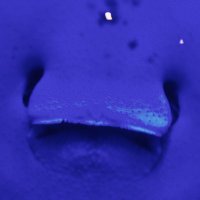 しんたま (@15jw43tdgmm2324) 's Twitter Profile
