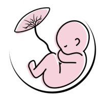 Leeds Pregnancy Research Group(@LeedsPRG) 's Twitter Profile Photo