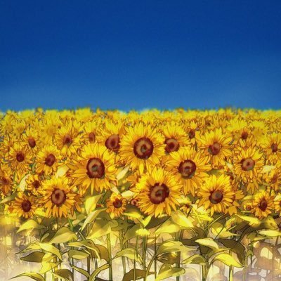 aislingdkennedy's profile picture. 